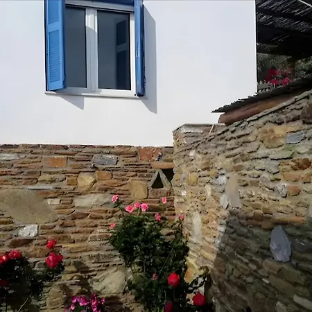 Dove View *